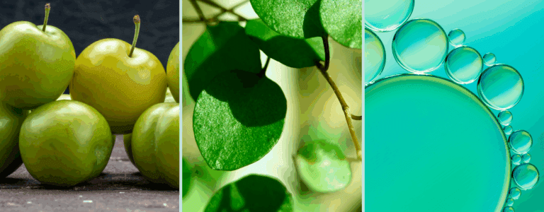 amla, moringa, ceramides